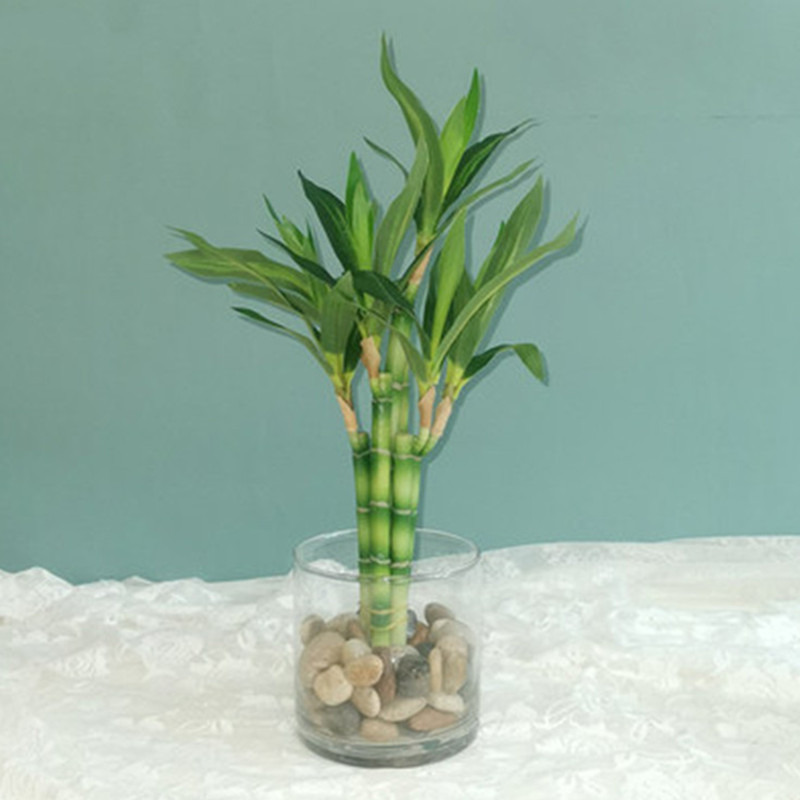 New 40cm rFtificial Lucky Bamb - Desk Setup Green ulasan dan harga