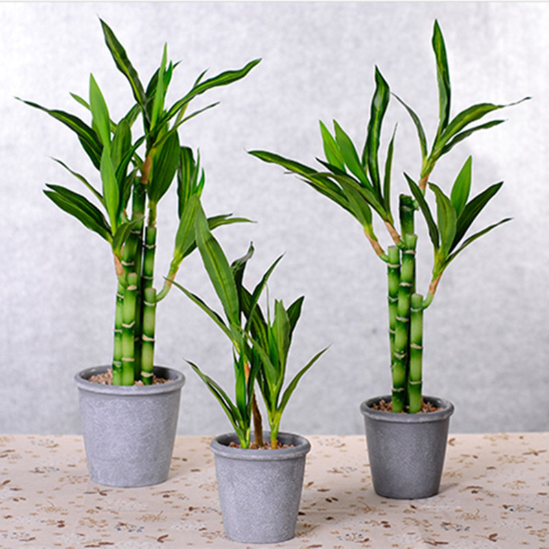 New 40cm rFtificial Lucky Bamb - Desk Setup Green ulasan dan harga