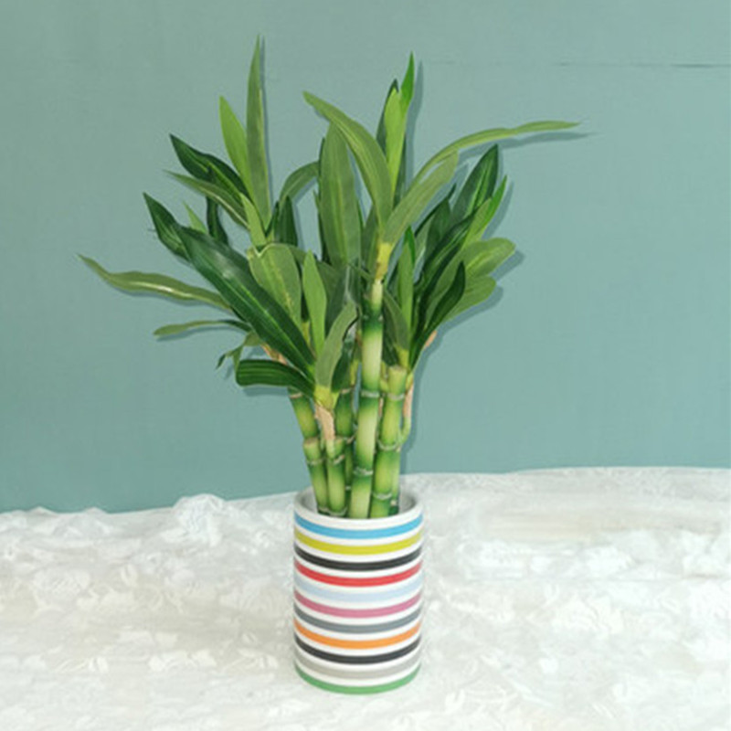 New 40cm rFtificial Lucky Bamb - Desk Setup Green ulasan dan harga
