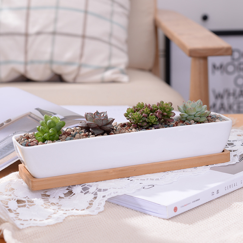 Long Rectangle White Ceramic S - Desk Setup Green ulasan dan harga